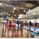 불독복싱 이미지