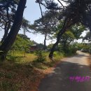 함평 보림정사 목조여래좌상 이미지