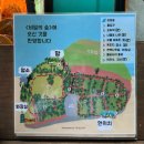 비밀의숲 | [제주] 아줄레주 에그타르트 | 제주 포토존 추천 ‘비밀의 숲’ 후기