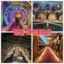 영동와인터널 화장실 이미지