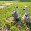 설향이야기 이미지