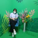 삼달신풍로 이미지