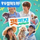 플레이독애견풀빌라 이미지