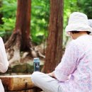 고분도리 총각네 네이버블로그