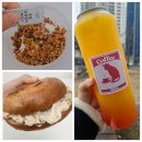 댕댕나비 이미지