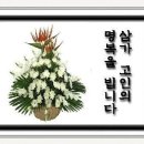 박학균 이미지