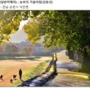 아침축산 이미지