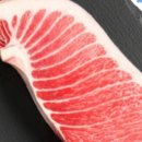 김낙천 참치 이미지