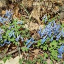 제2금강산 등산로입구 이미지