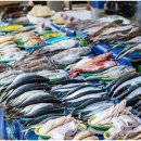 종합여객터미널 이미지