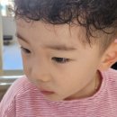 아미블헤어