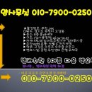 리젤펠리스APT 이미지