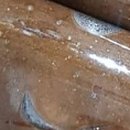 예산도토리떡집