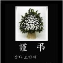 서현로180번길 이미지