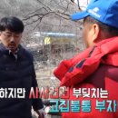 황소농원민박 이미지