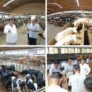 현지목장 이미지