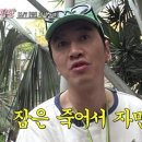 팡팡 TV리포트