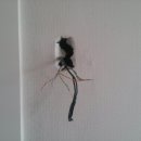 5단지비디오 이미지