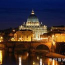 심장박물관 이미지