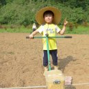 단양유기농원 이미지