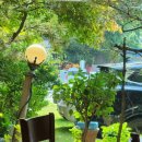 맷돌포두부 이미지