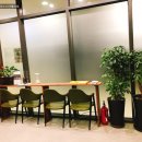 오닉스스킨테라피 이미지