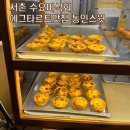 통인스윗 - 양천구 | 서촌 에그타르트 맛집 통인스윗 내돈내산 후기