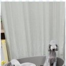 키티 앤 퍼피 이미지