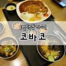 코바코돈가스평택오성점 네이버블로그