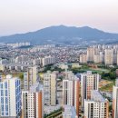 황금공인중개사사무소 이미지