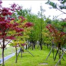 양지근린공원 이미지