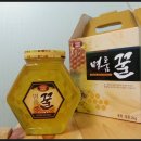 광산구-007 이미지