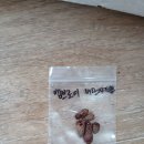 아키메네스 엠브로이스베르샤펠트 이미지