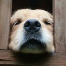 산골공작소 이미지