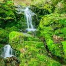 대티골계곡 이미지