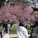 분홍빛 연합뉴스