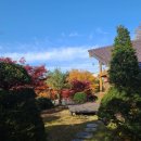 구천동송어마을 이미지