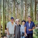 알찬복 | 제주 카니발 렌트 여행후기, 효율적인 동선과 알찬 하루