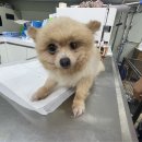 금곡파출소 이미지