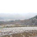 첫눈에평창 이미지