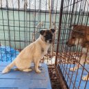 상옥리경로당 이미지