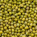 녹두한의원 이미지