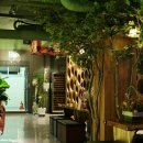 달콤한 나무 이미지