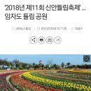 봄,봄,~봄이 왔어요~ "신안 툴립축제~여행벙개" 이미지