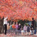 예산유치원 이미지