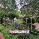 윤산중학교 | [아이와] 함께 부산 주말에 가볼만한 가족숲체험 다녀왔어요 #부산산림교육센터