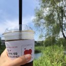 세븐일레븐 대전용문파크점 네이버블로그