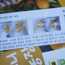 제주쭈니농장