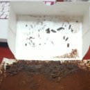 수원-1607 이미지