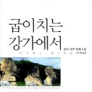 강가에